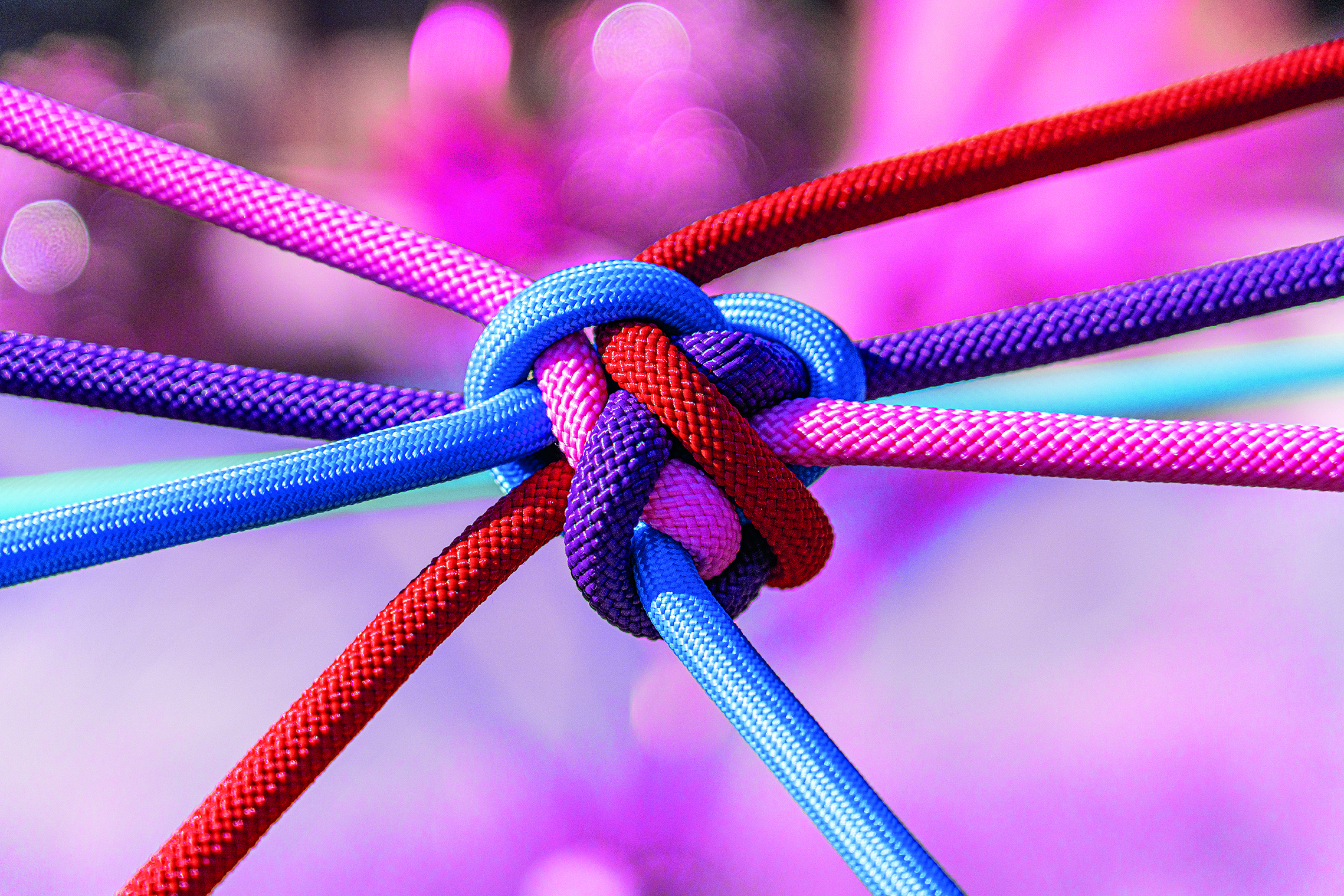 Nahaufnahme von bunten Seilen – rot, rosa, lila und blau –, die zu einem zentralen Knoten zusammengebunden sind, vor einem unscharfen lila-rosa Hintergrund.